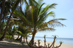 Palani White Sand Balud, Masbate Palani White Sand Balud, Masbate