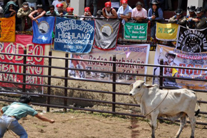 Rodeo 2011 Ham Valencia Rodeo 2011 Ham Valencia